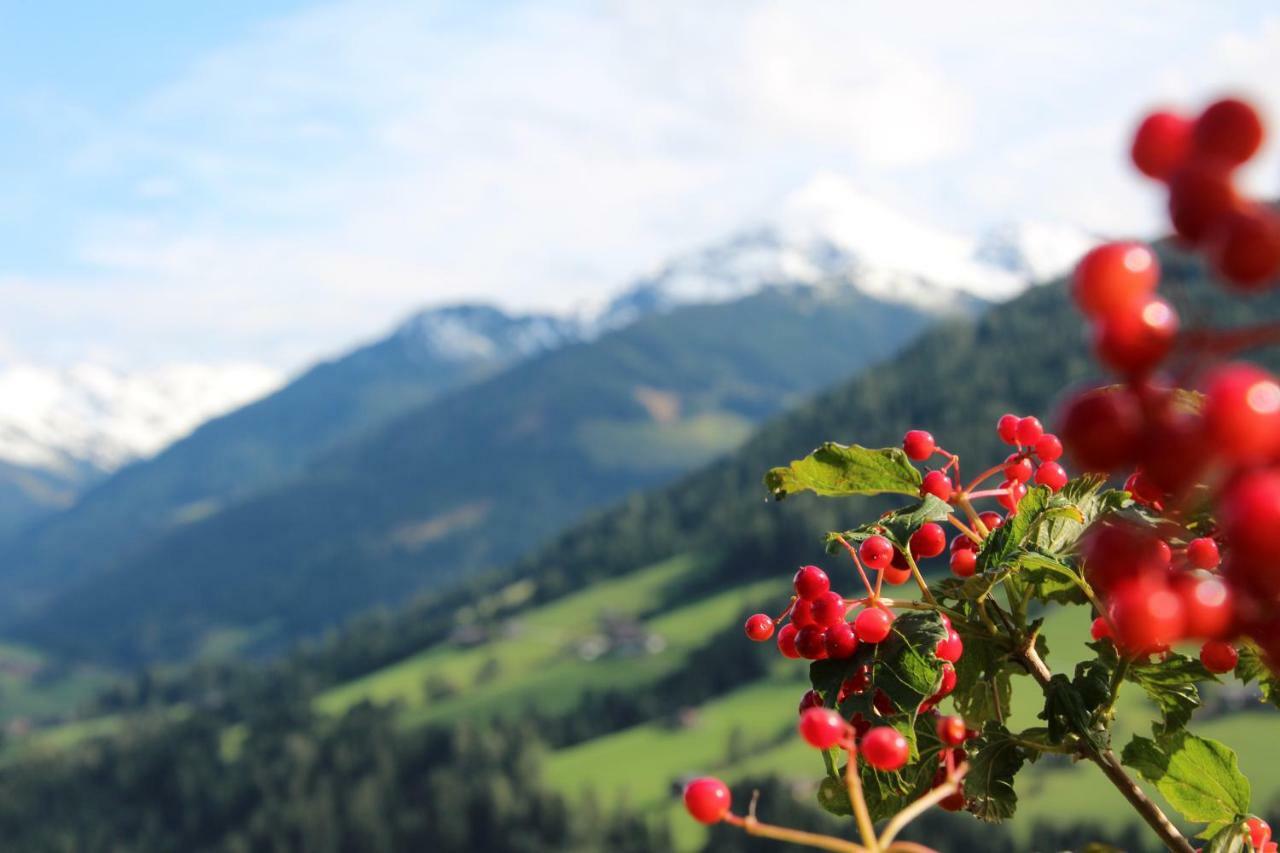 Appartamento Moahof Alpbach Esterno foto