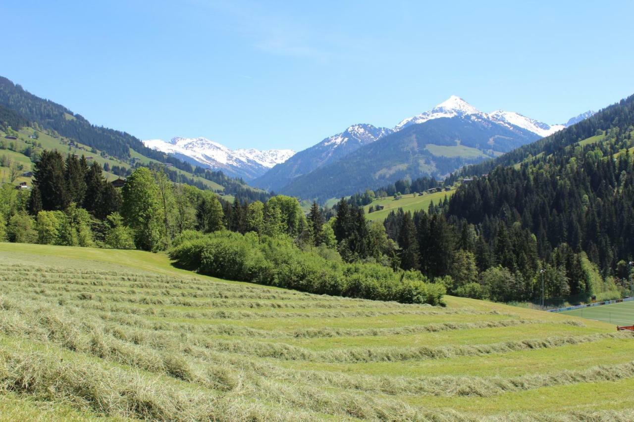 Appartamento Moahof Alpbach Esterno foto