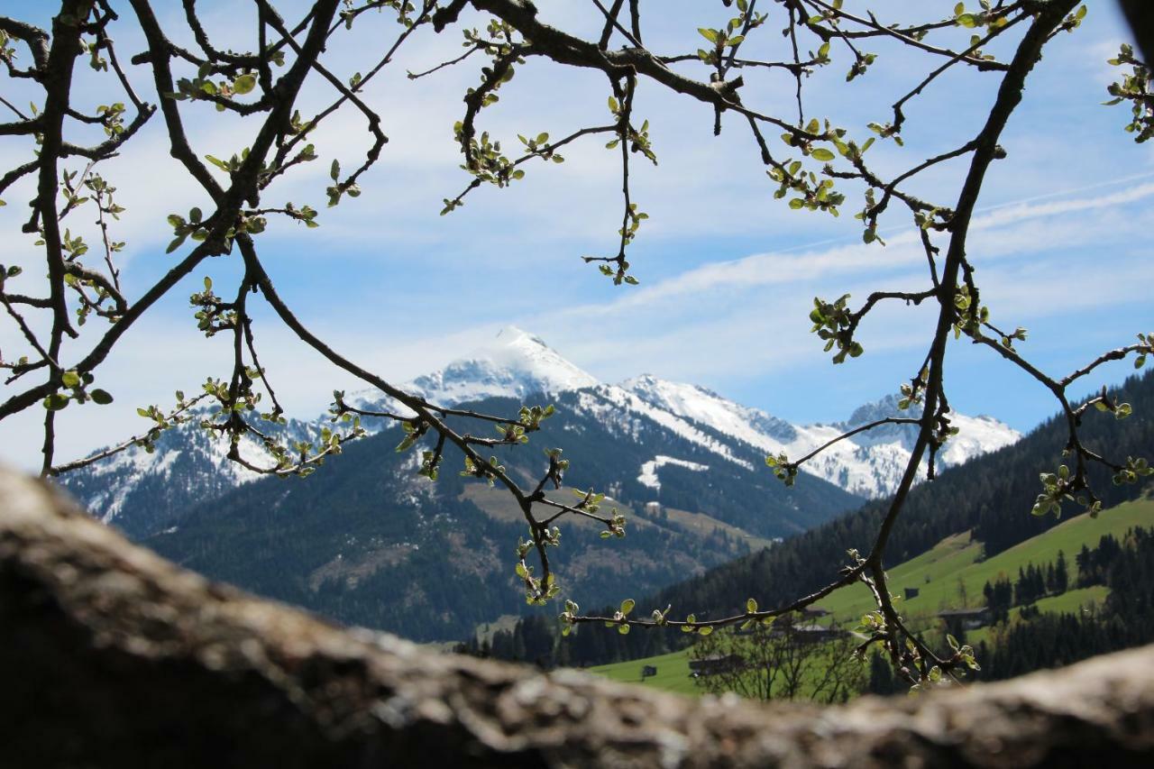 Appartamento Moahof Alpbach Esterno foto